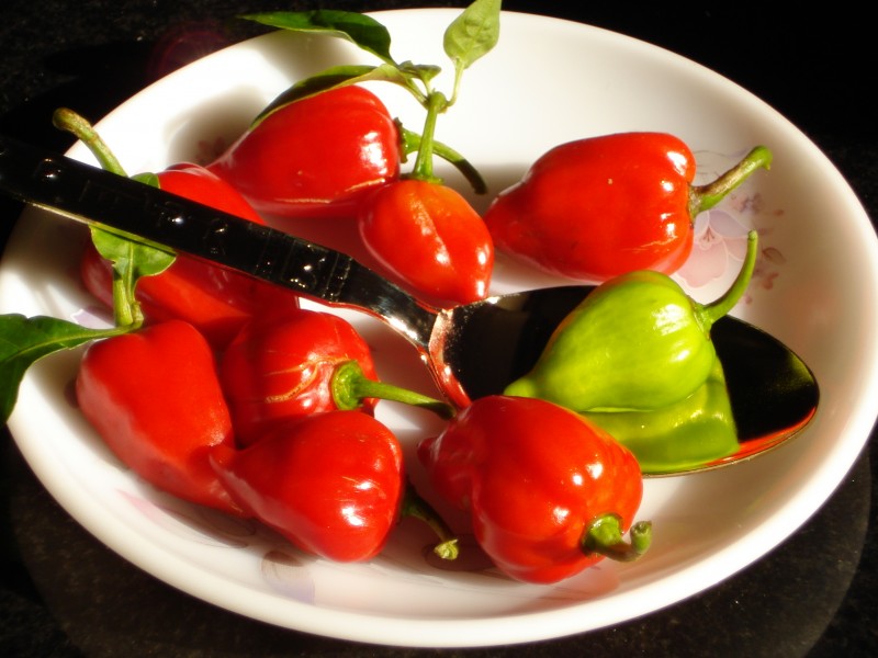 Colours of Capsicum 