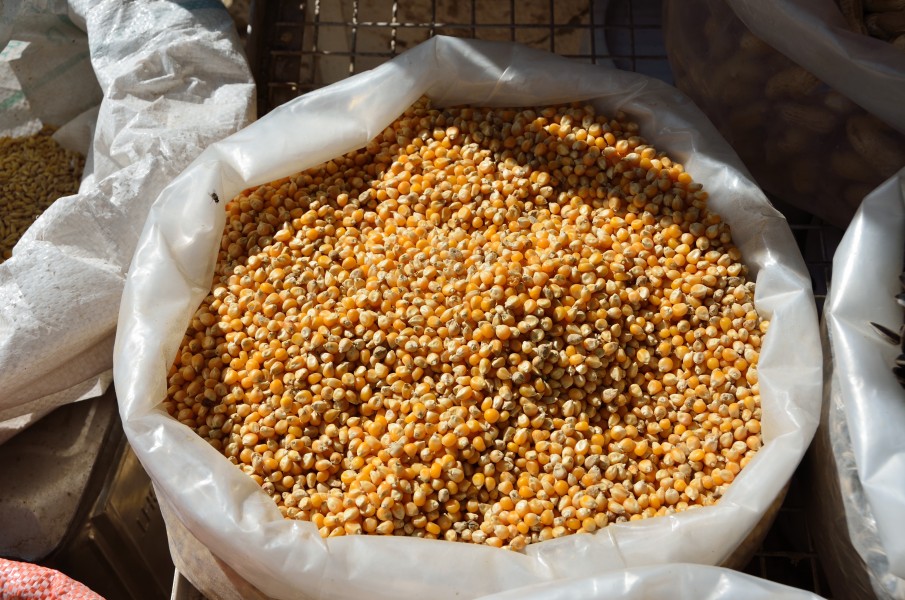 Corn-Nizwa