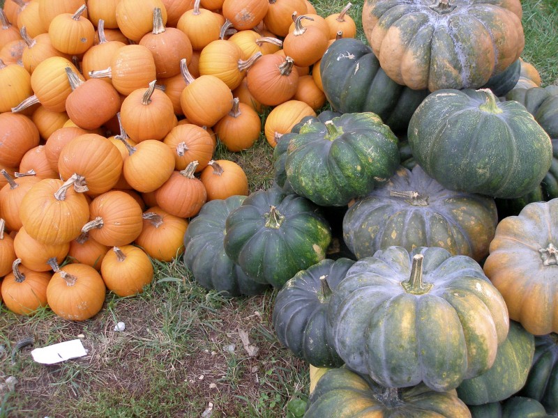 Covered bridge pumpkins