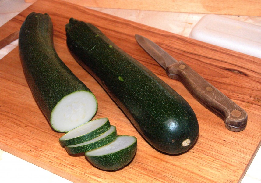Cucurbita pepo1