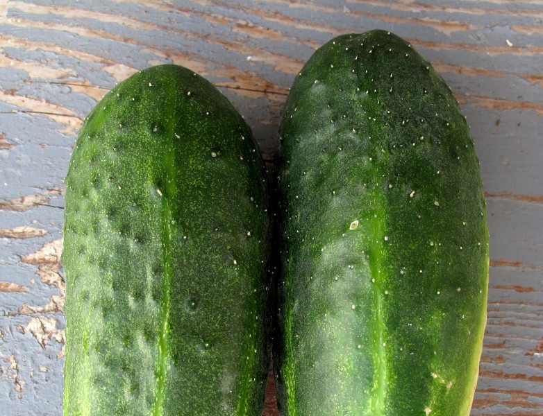 Dvě okurky