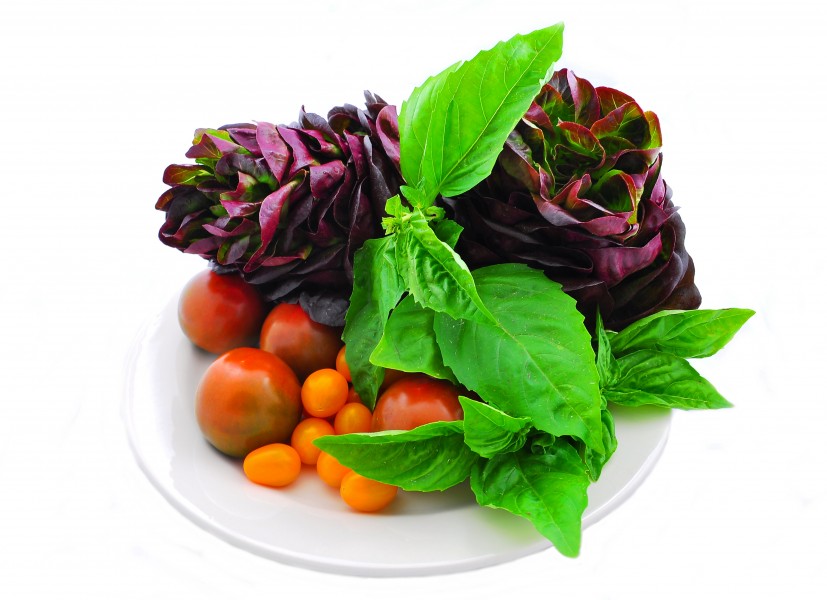 FarmersMarketProduce