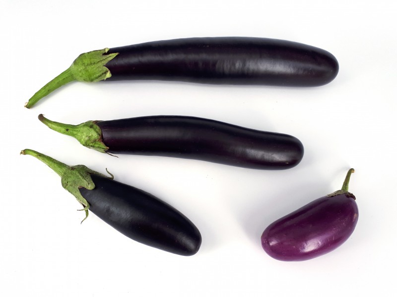 Four eggplants 2017 A