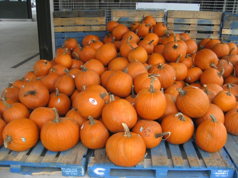 FrenchMarketPumpkinsA
