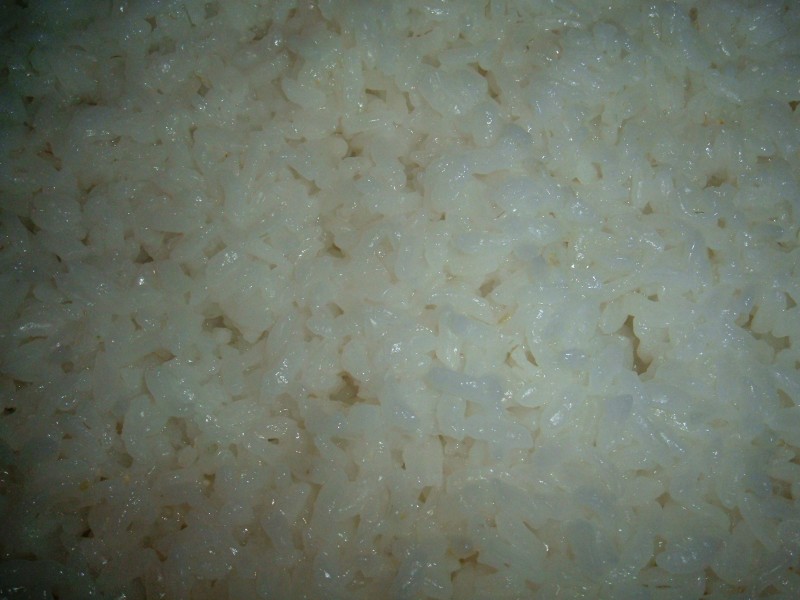 Freshly cooked rice