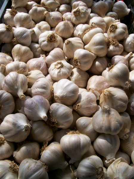 Garlic basket