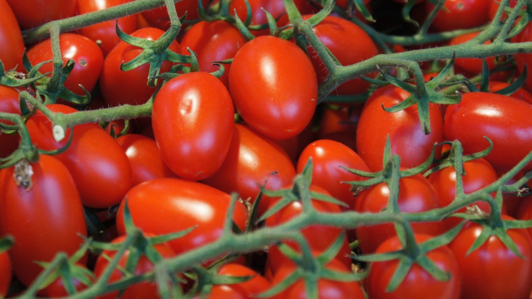 Grape tomatoes on the vine at Ljubljana Central Market