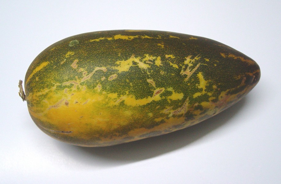 Kani-vellari