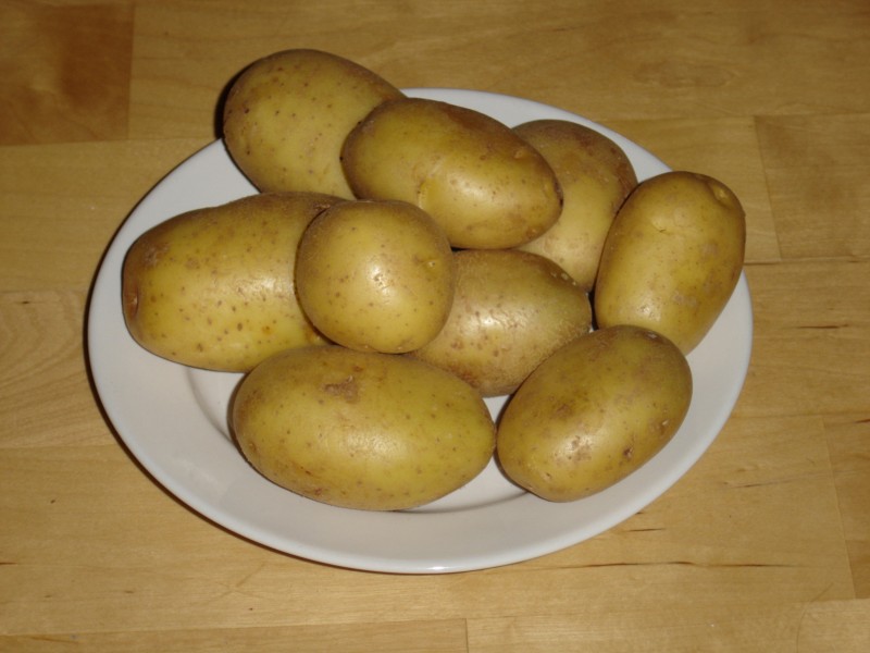 Kartoffeln der Sorte Marabel