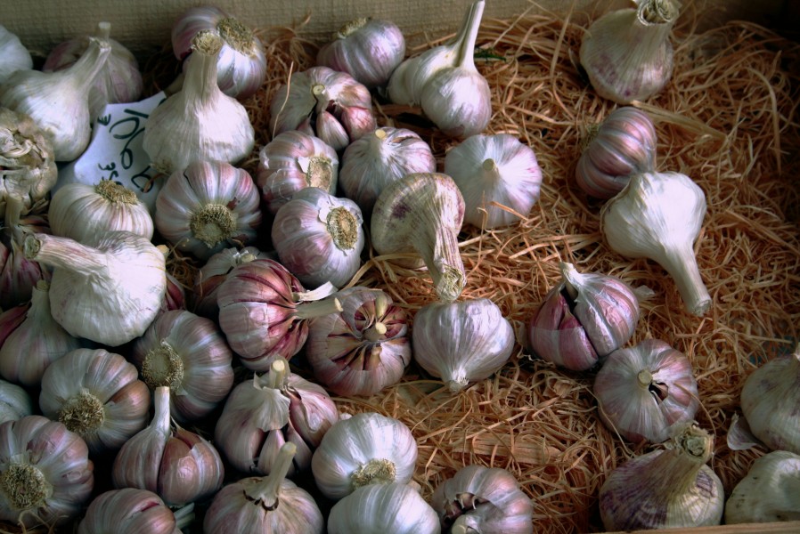 Knoblauch Allium sativum in a store