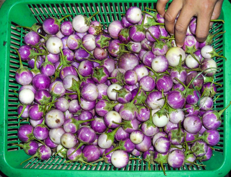 Makhuea - Thai eggplant