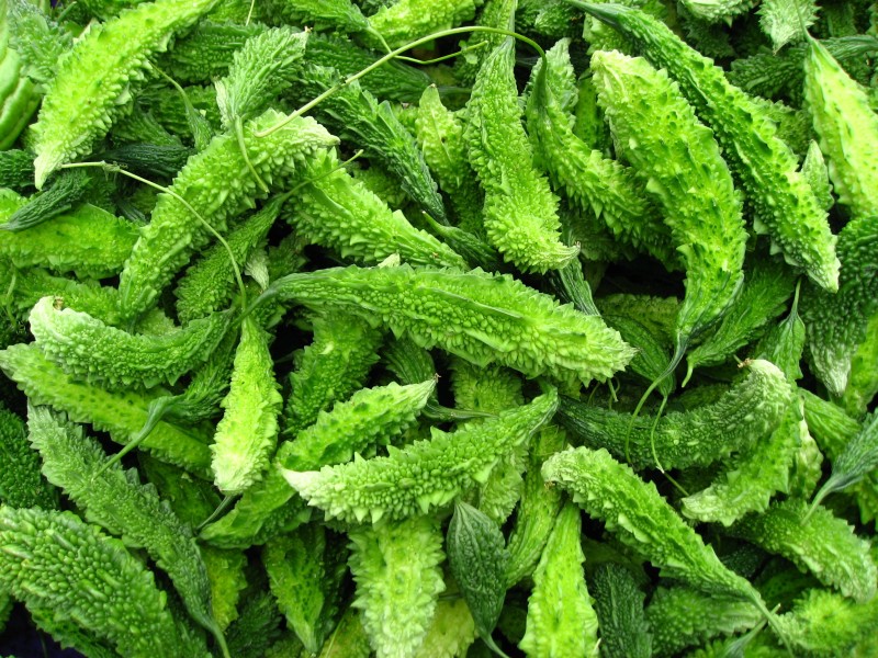 Momordica charantia