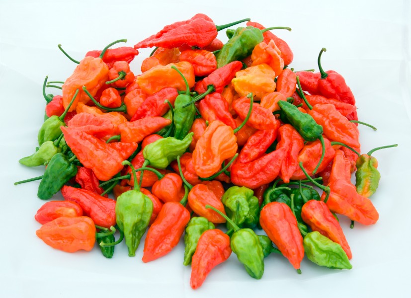 Naga-jolokia