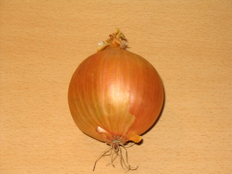 Oignon