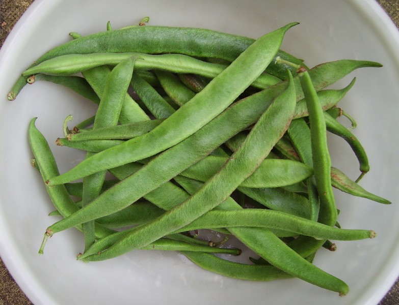 OrdinaryRunnerBeans