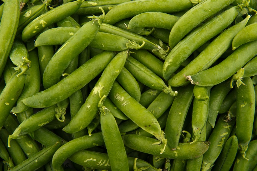 Peas - Studio - 2011