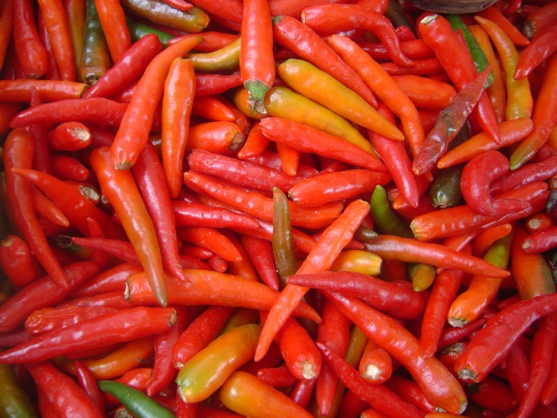 Peppers dsc07818
