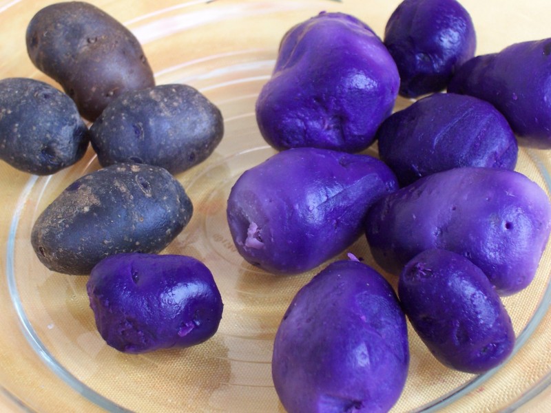 Potatoes Vitelotte