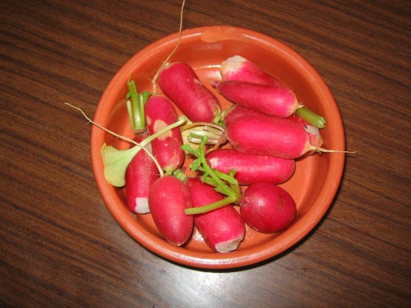 Rabanos-rafax