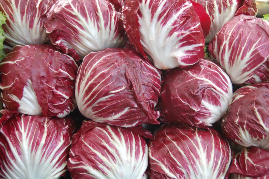 Radicchio Chioggia Torino