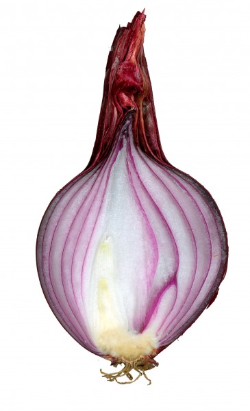 Red onion cut