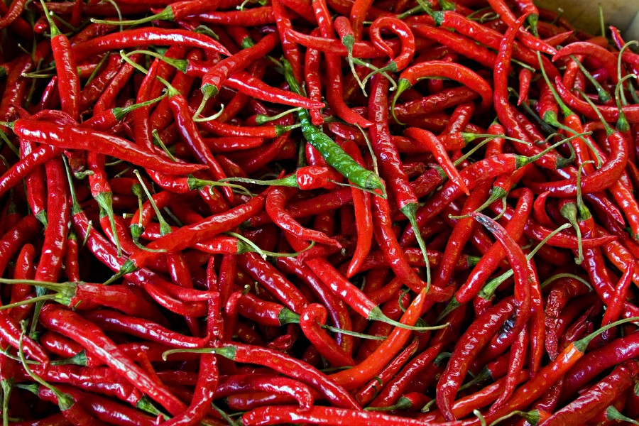 Red Peppers