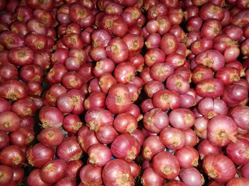Redonionjf2327