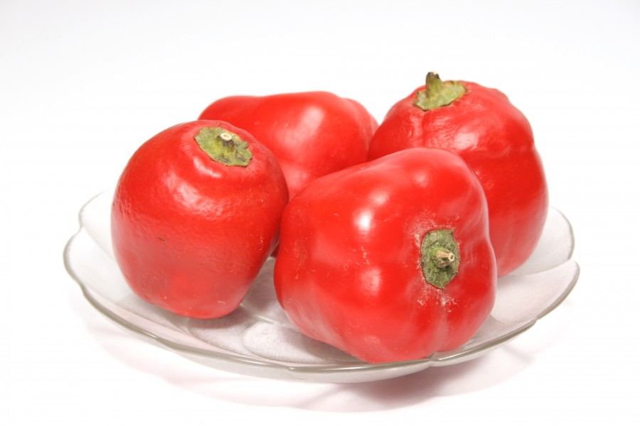 Rocoto2