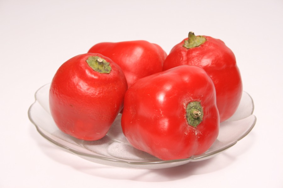 Rocoto 034