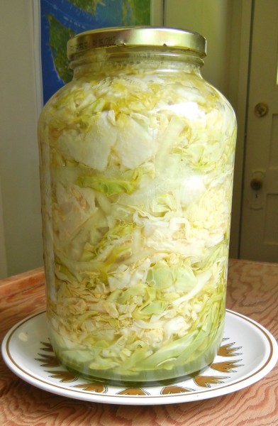 Sauerkraut Jar