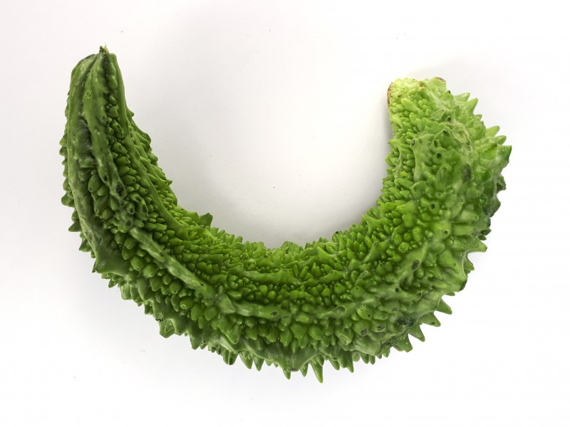 Semi-circular karela 2017 A