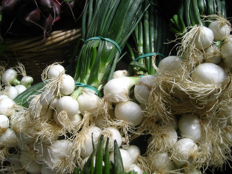 Spring onions (4701371448)