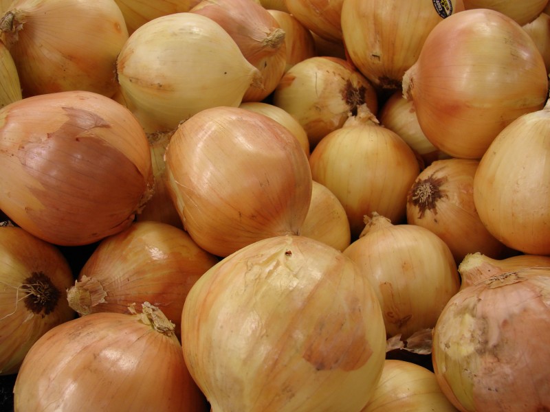 Starr 070730-7809 Allium cepa