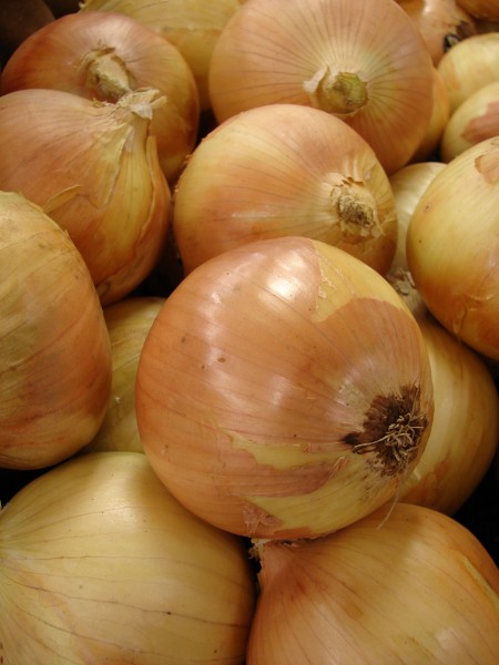 Starr 070730-7810 Allium cepa