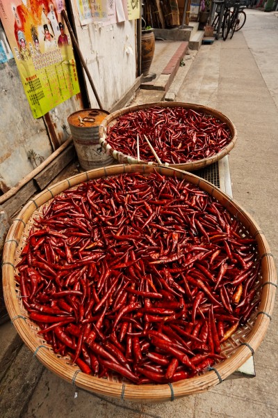 Sun dry red chilli