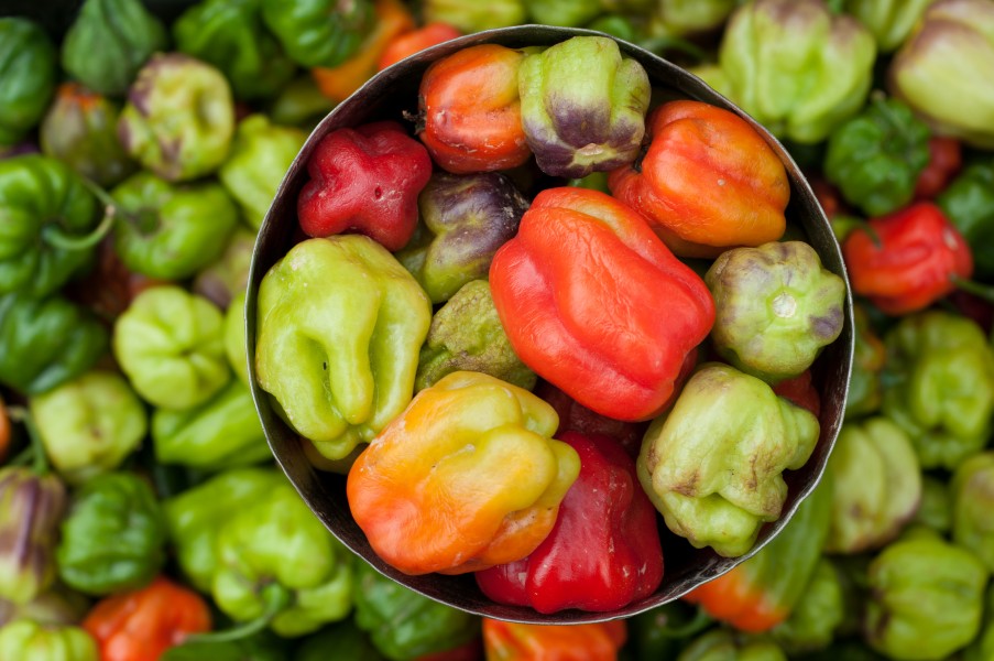 Sweet Pepper Market