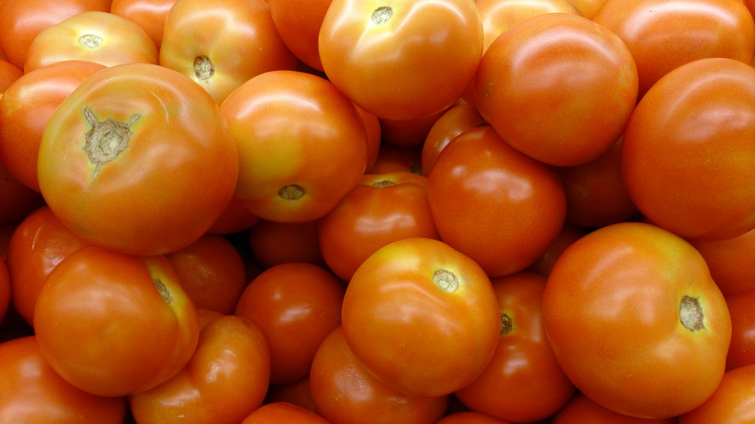 Tomatoes 2