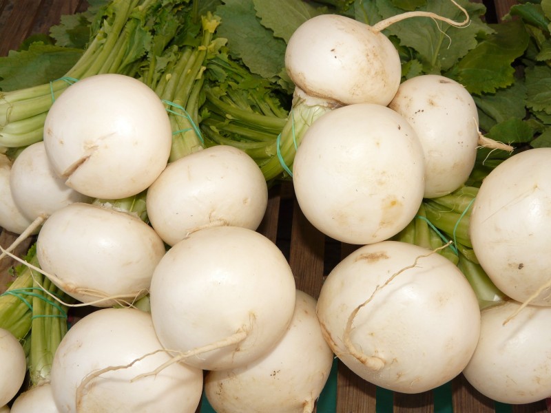 Turnip-5743 - Hans Braxmeier