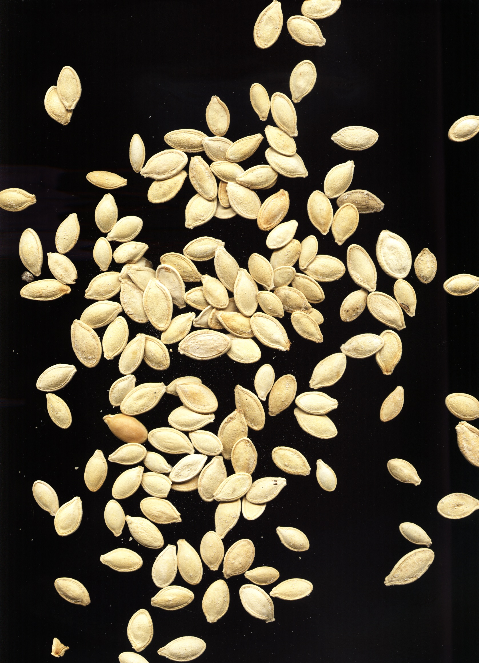 Pumpkin seeds