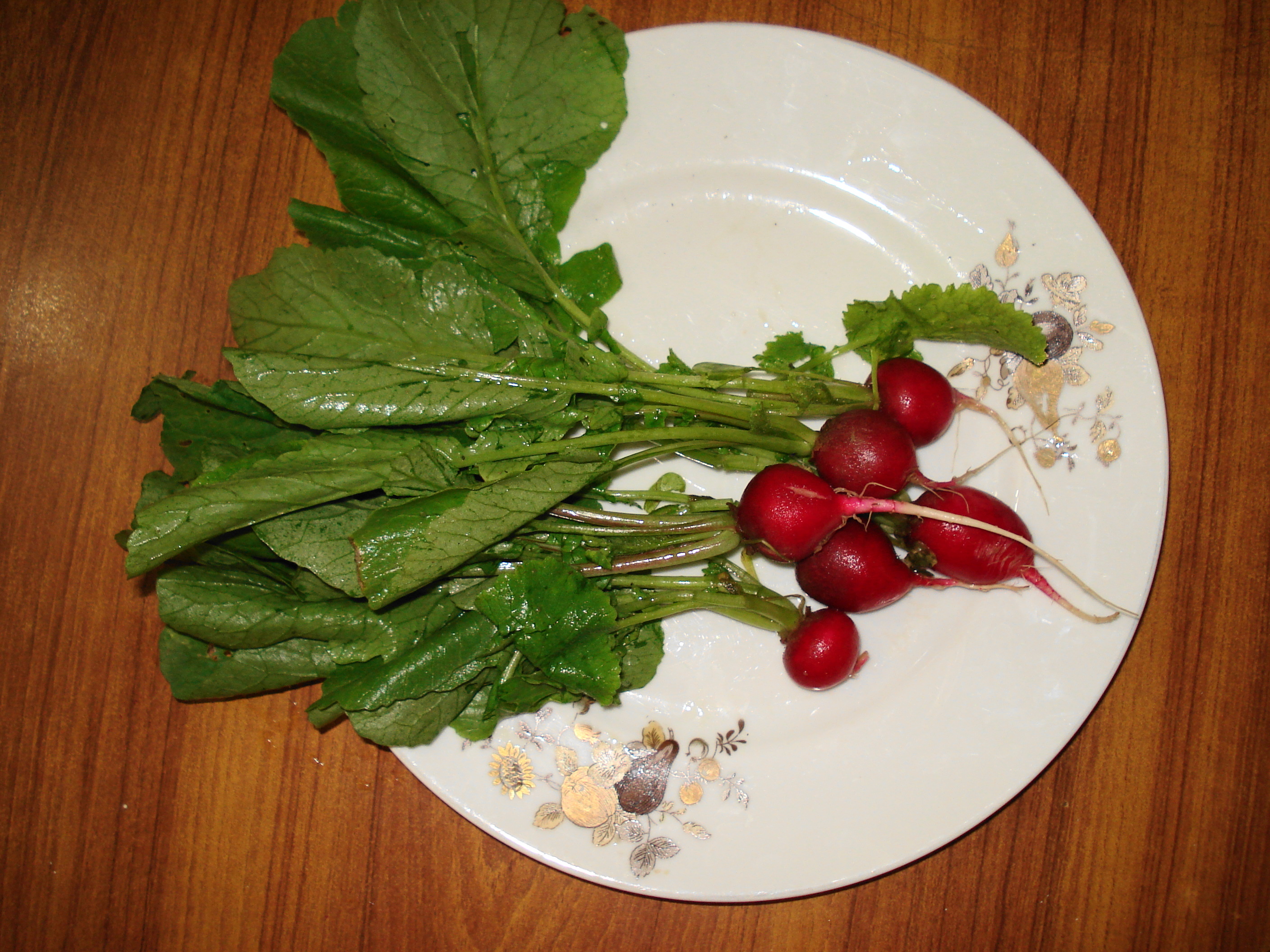Red Radish