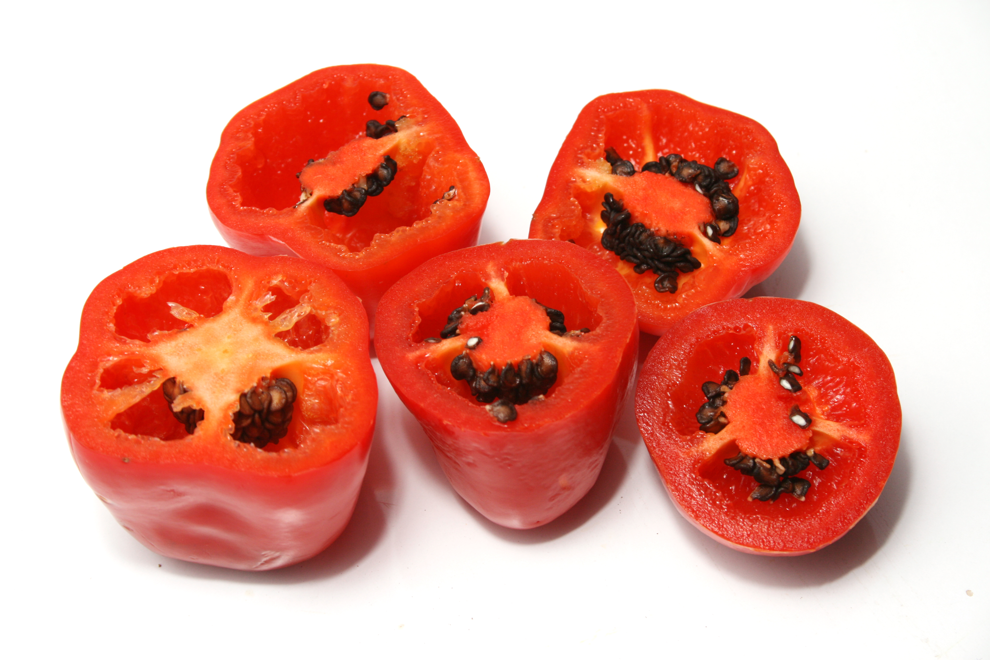 Rocoto