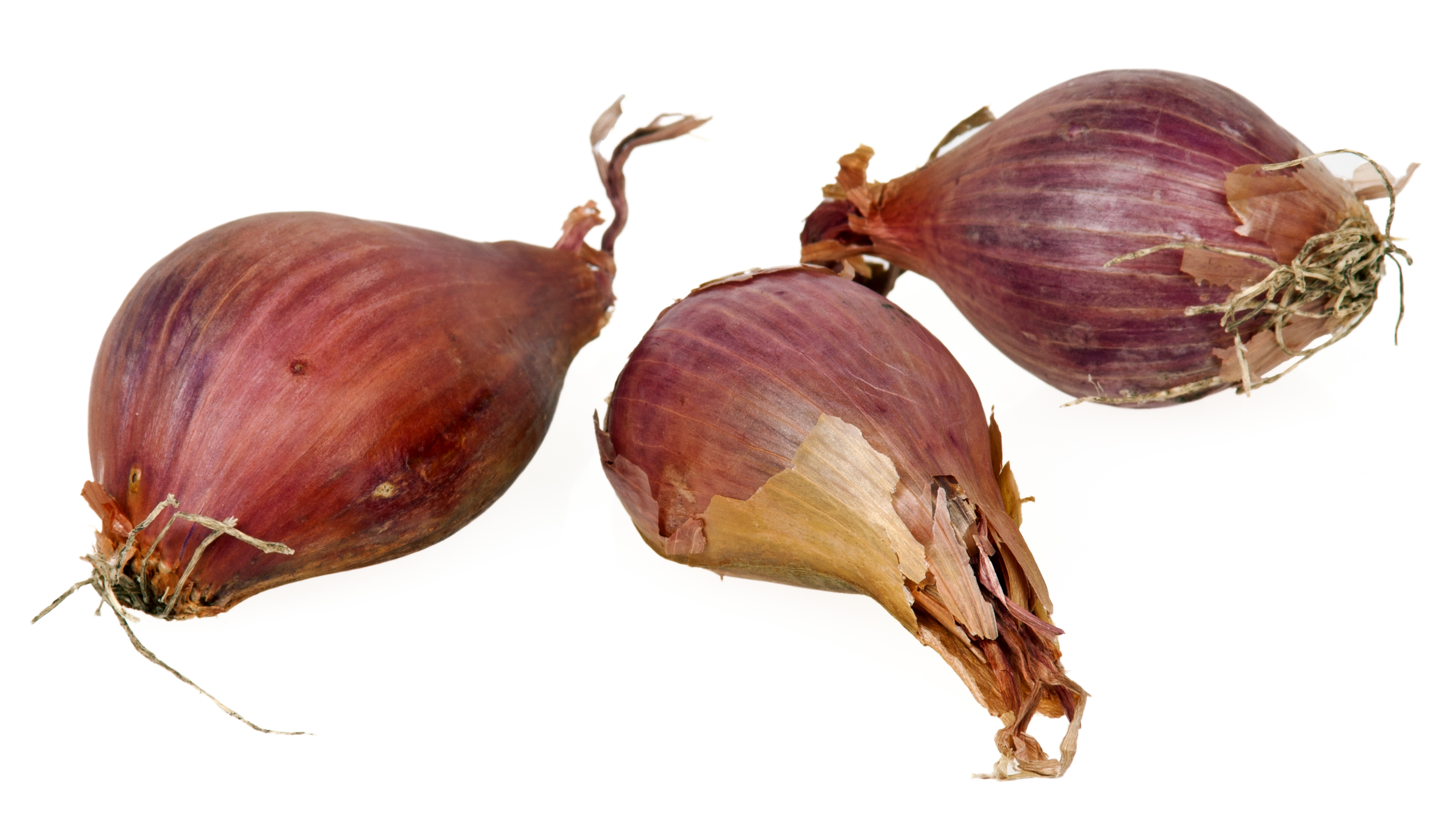 Shallots-Whole