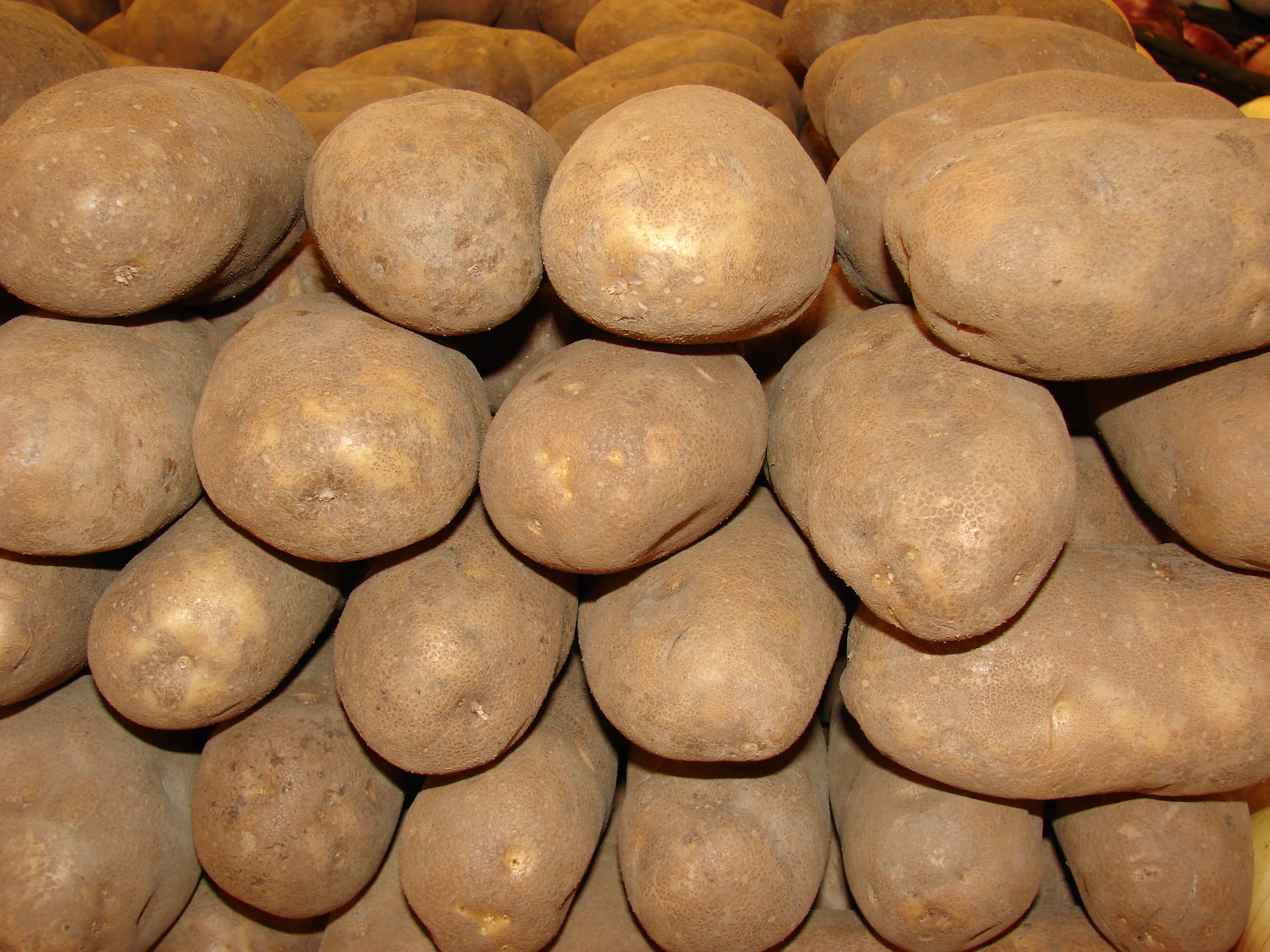 Starr 070730-7811 Solanum tuberosum