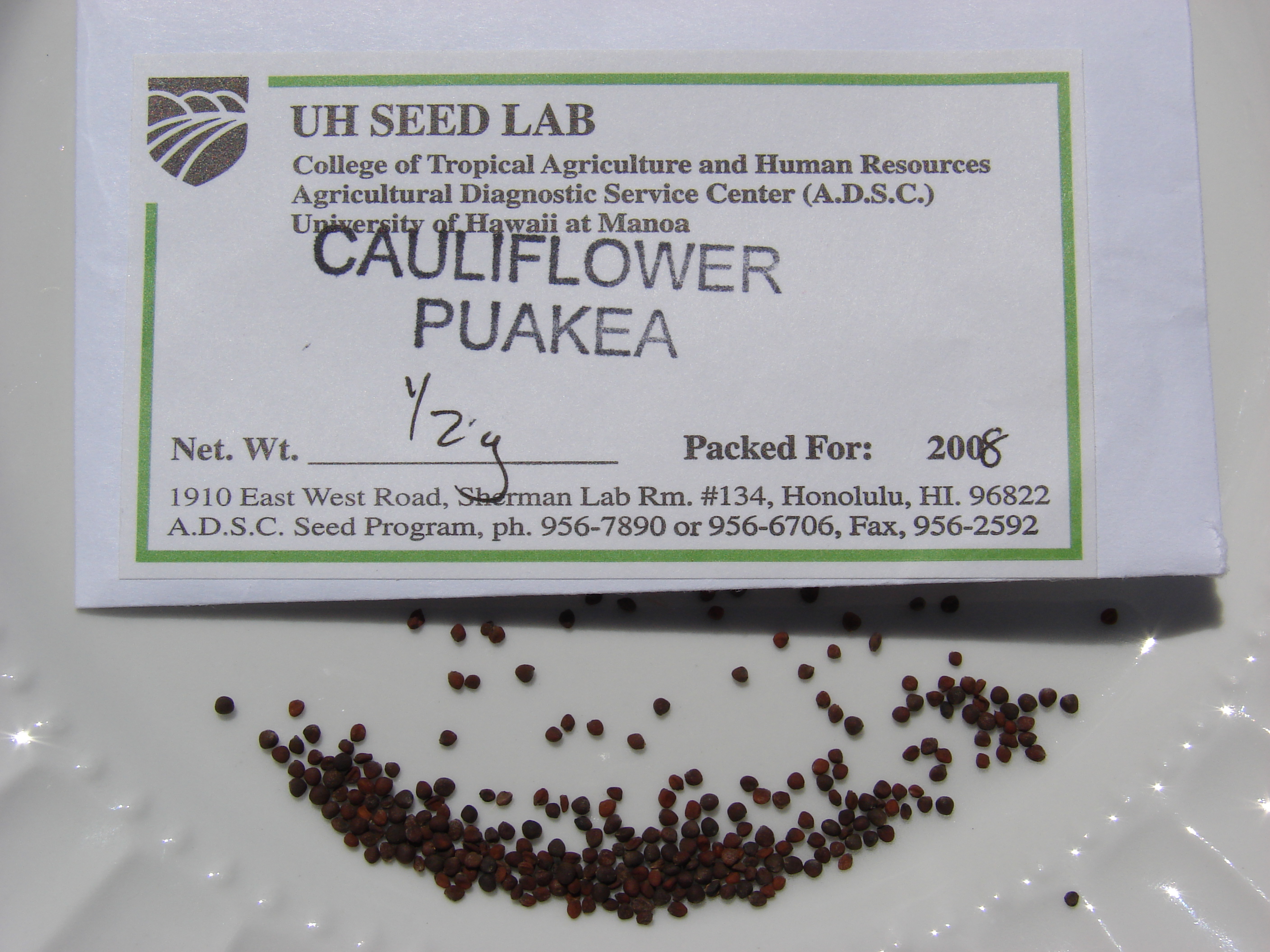 Starr 080815-9799 Brassica oleracea var. botrytis