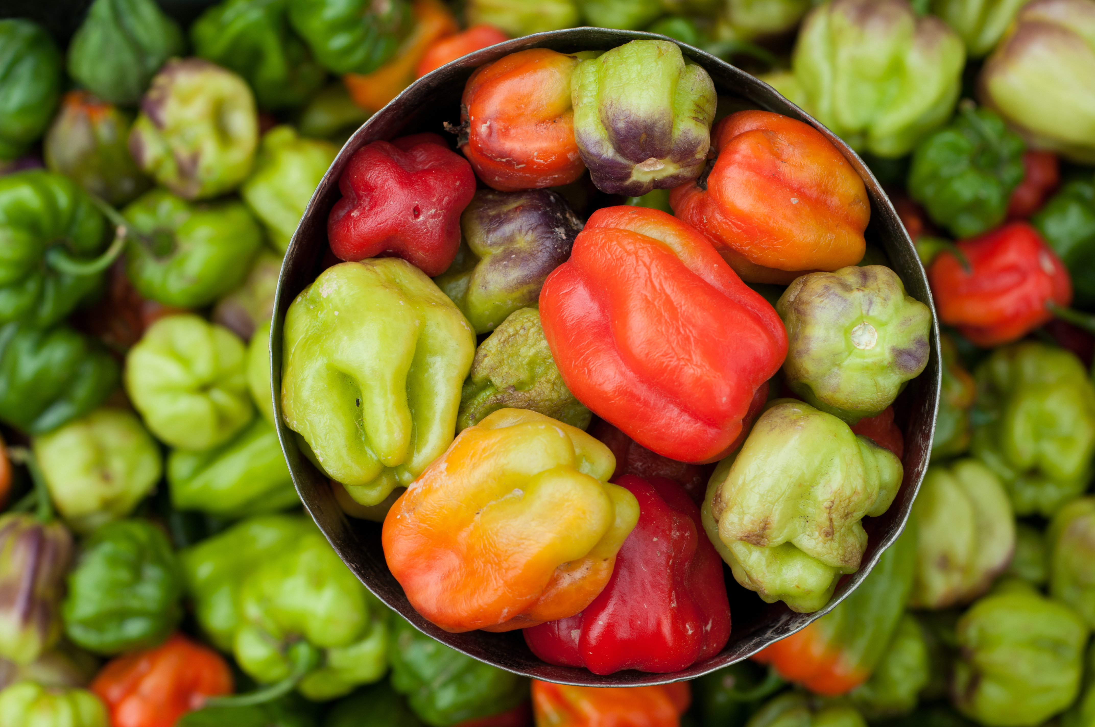 Sweet Pepper Market