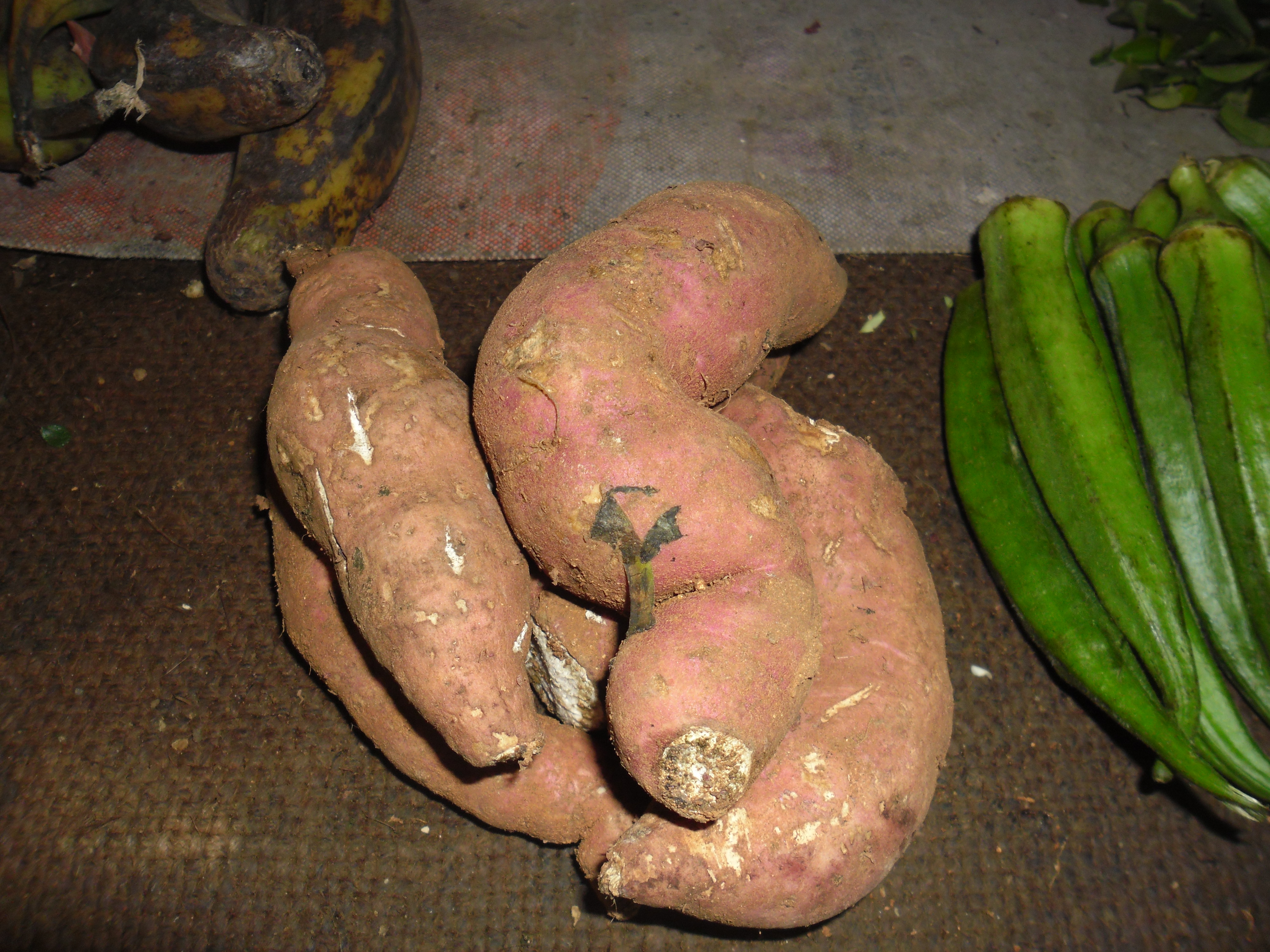 Sweet potatoes 3
