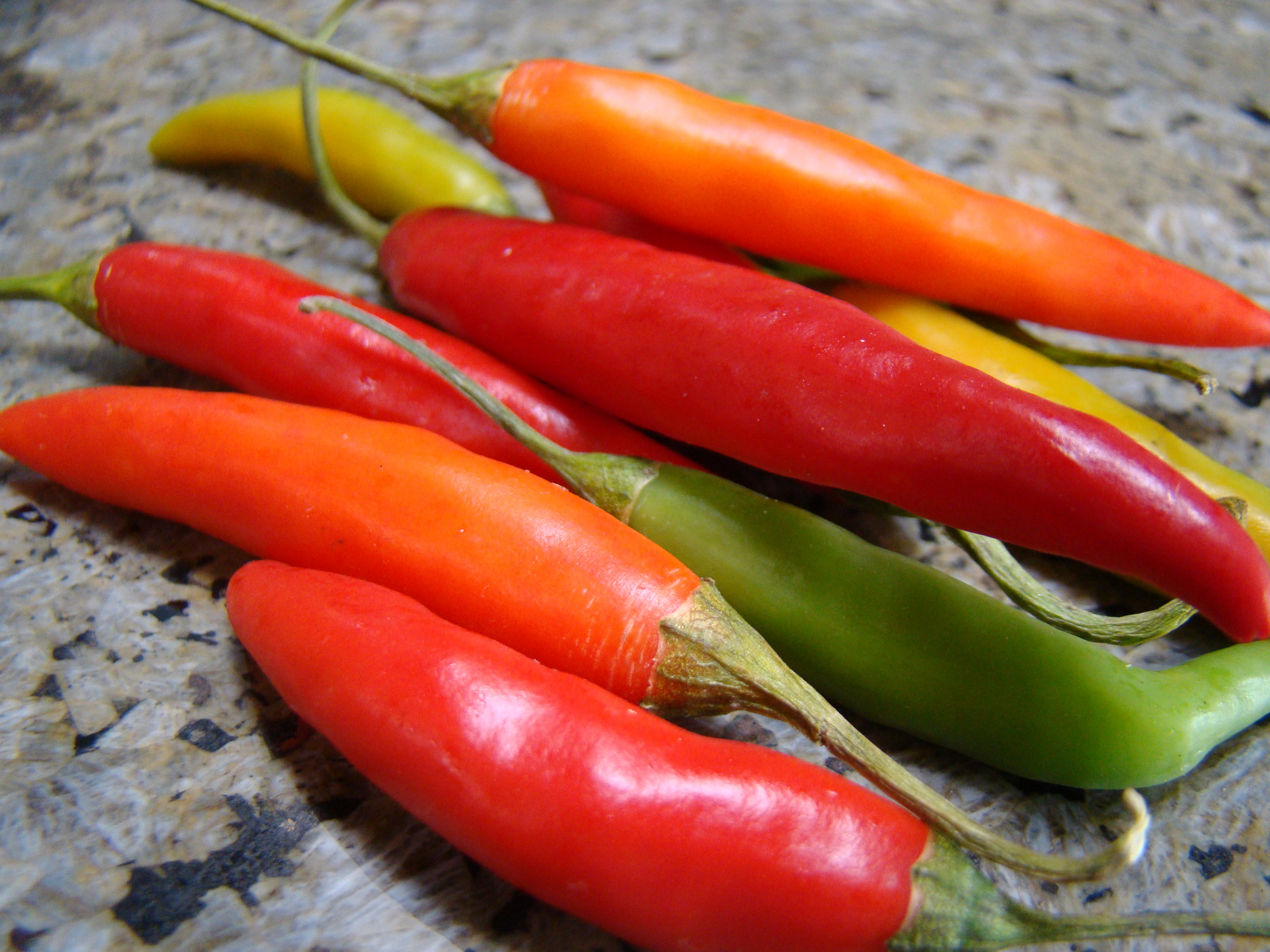 Thai Chilies (4997457044)