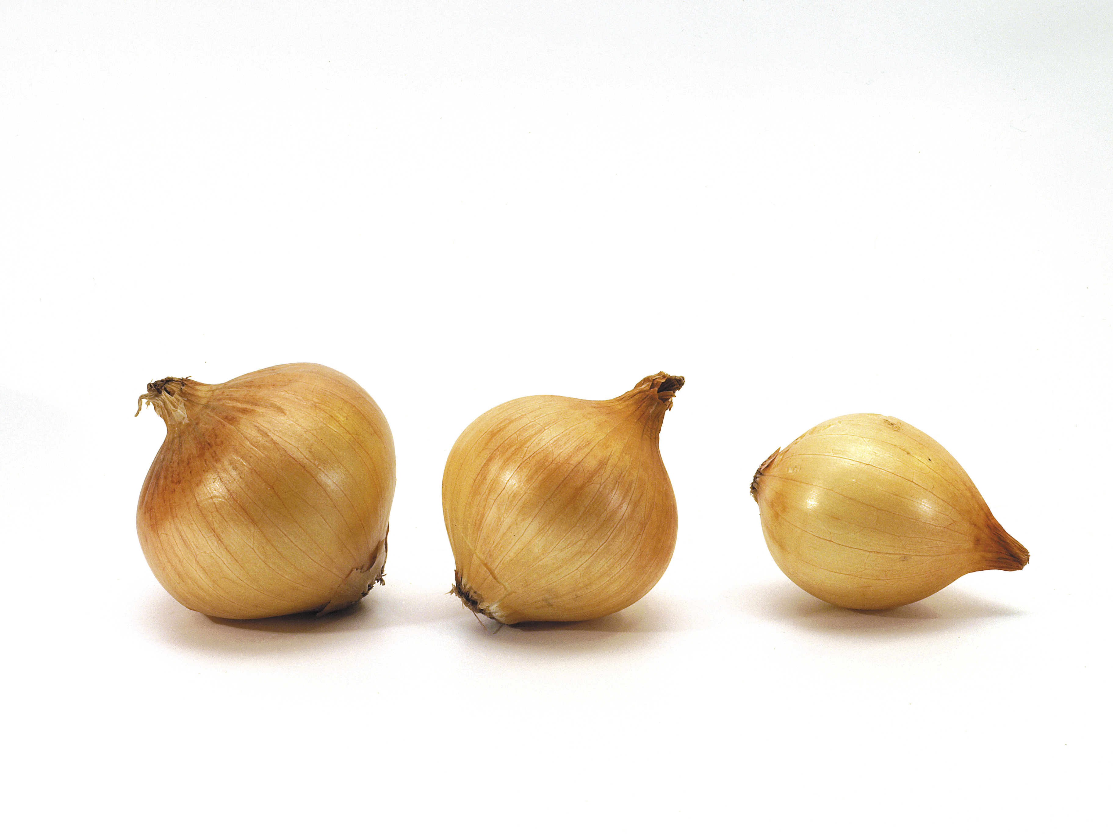 Three onions on white background