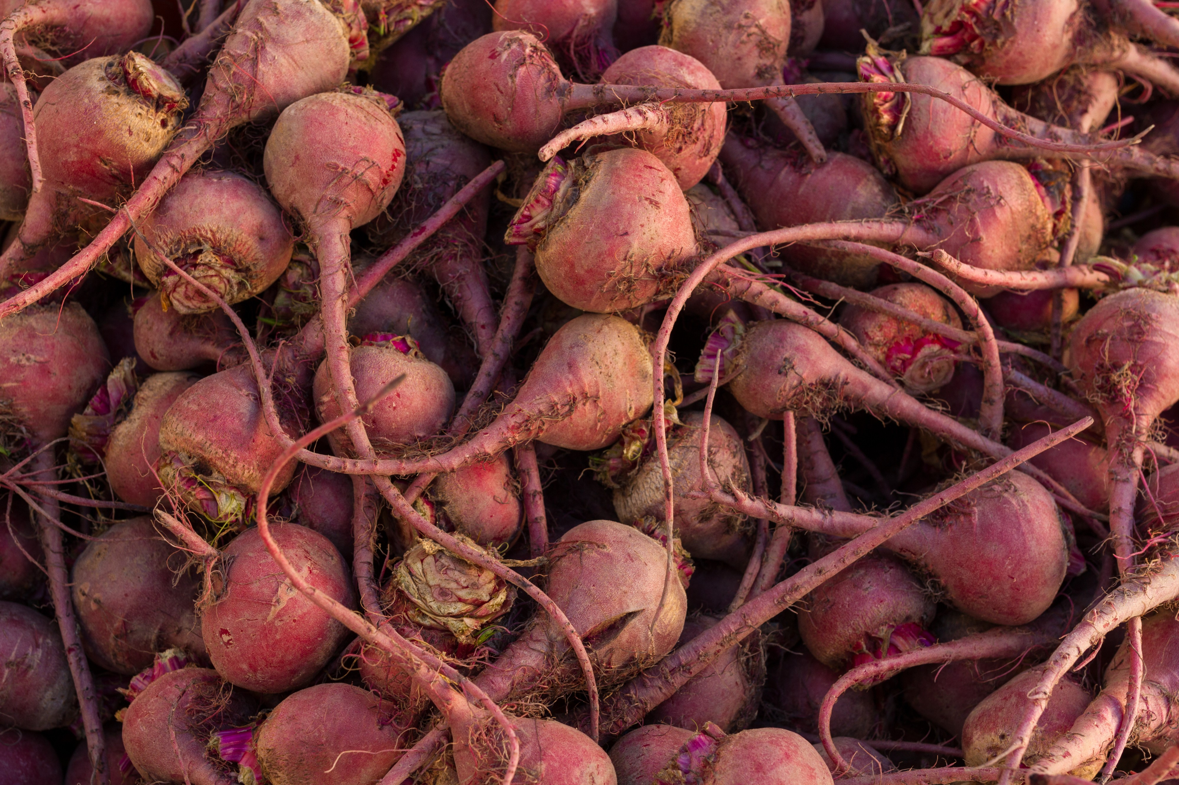 Beta vulgaris, San Francisco farmers market