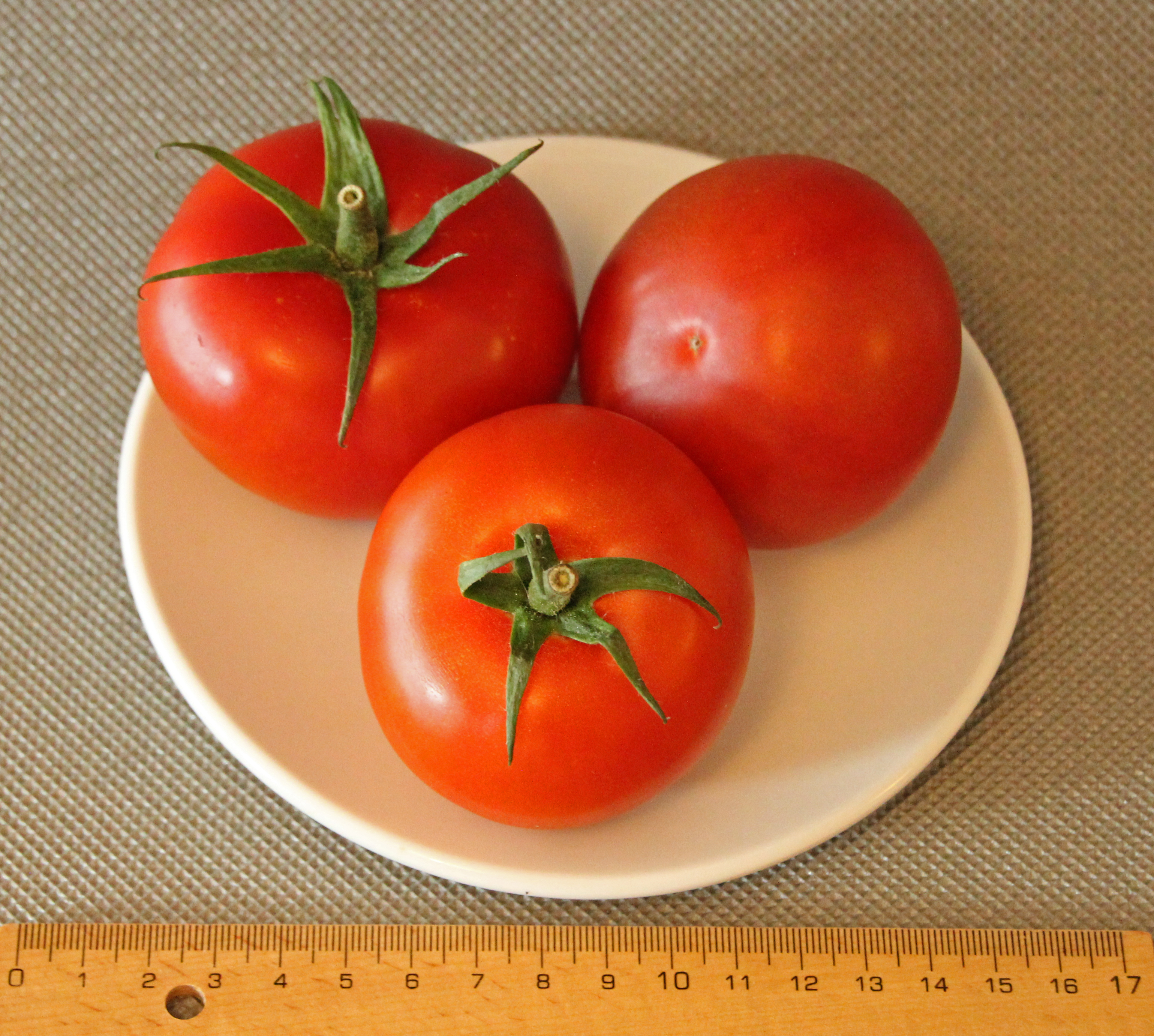 Tomatensorte Gourmato 03 (fcm)